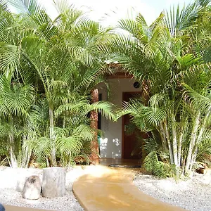 https://bonaire-fun-apartments.comcaribbean.com